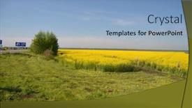  Presentation with rapeseed - 