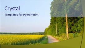  Presentation with rapeseed - Colorful PPT layouts enhanced with yellow-rapeseed-in-the-vertical backdrop and a sky blue colored foreground