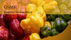  Presentation with stem - PPT layouts having yellow red and green bell pepper with a green stem background and a gold colored foreground