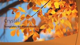  Presentation with red blue yellow - Colorful theme enhanced with yellow-red-and-orange-tree backdrop and a gold colored foreground