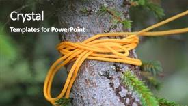  Presentation with rope - Cool new presentation theme with yellow-rope-knot-on-tree backdrop and a  colored foreground