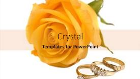  Presentation with yellow rose - 