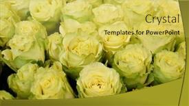  Presentation with rose yellow - Slide deck featuring yellow rose floral background background and a yellow colored foreground