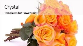  Presentation with rose yellow - Cool new slide deck with yellow rose flower bouquet isolated backdrop and a sky blue colored foreground