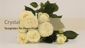  Presentation with yellow rose - Slides consisting of yellow-rose-flower-bouquet background and a coral colored foreground