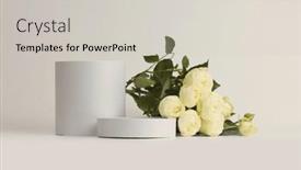  Presentation with rose yellow - PPT theme having yellow-rose-flower-bouquet background and a light gray colored foreground