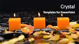  Presentation with yellow rose - Audience pleasing presentation design consisting of yellow rose petals with three backdrop and a black colored foreground