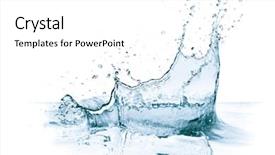  Presentation with yellow rose - PPT layouts consisting of yellow rose background and a white colored foreground