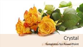  Presentation with rose yellow - Slide deck having looking in the future of health care female doctor or nurse looking through binoculars background and a light gray colored foreground