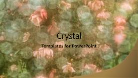  Presentation with flower vintage - Slides with yellow roses book - beauty flower vintage paper background background and a coral colored foreground