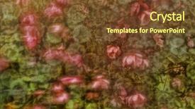  Presentation with flower vintage - Amazing theme having yellow roses book - beauty flower vintage paper background backdrop and a tawny brown colored foreground