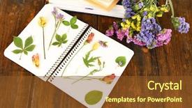  Presentation with plants - Audience pleasing presentation theme consisting of yellow roses book - composition with flowers and dry backdrop and a tawny brown colored foreground