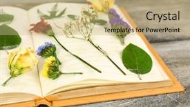  Presentation with plants - Beautiful presentation featuring yellow roses book - dry up plants on notebook backdrop and a coral colored foreground