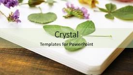  Presentation with plants to - Beautiful slides featuring yellow roses book - dry up plants on notebook backdrop and a  colored foreground