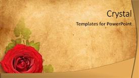  Presentation with vintage rose old paper - Audience pleasing PPT theme consisting of yellow roses book - vintage rose old paper background backdrop and a yellow colored foreground