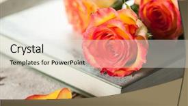  Presentation with red roses rose garden - Colorful theme enhanced with yellow roses on a book backdrop and a  colored foreground