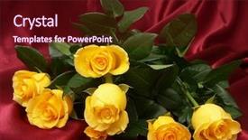  Presentation with roses - Cool new PPT theme with yellow roses backdrop and a wine colored foreground
