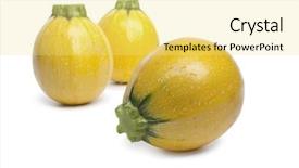  Presentation with white and yellow - PPT theme consisting of life circle of a leaf background and a  colored foreground.