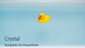  Presentation with rubber duck - PPT layouts with yellow rubber duck in blue background and a light blue colored foreground