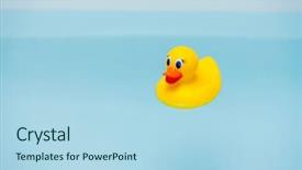  Presentation with rubber duck - Colorful slide deck enhanced with yellow rubber duck in blue backdrop and a  colored foreground