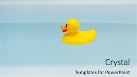  Presentation with rubber duck - Amazing slide set having yellow rubber duck in blue backdrop and a sky blue colored foreground