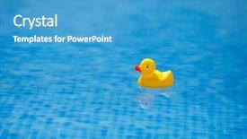  Presentation with rubber duck - Presentation theme featuring yellow rubber duck in blue background and a teal colored foreground