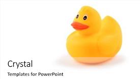 Presentation with rubber duck - Cool new PPT theme with yellow rubber duck isolated backdrop and a white colored foreground
