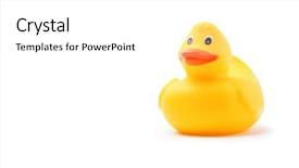  Presentation with rubber duck - PPT layouts consisting of yellow rubber duck isolated background and a white colored foreground
