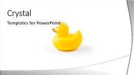  Presentation with rubber duck - PPT layouts with yellow rubber duck isolated background and a white colored foreground