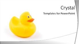  Presentation with rubber duck - Theme having yellow rubber duck isolated background and a white colored foreground