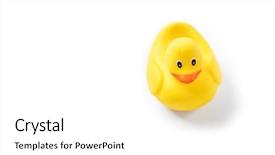  Presentation with rubber duck - PPT theme featuring yellow rubber duck isolated background and a white colored foreground