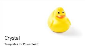  Presentation with rubber duck - Slide set consisting of yellow rubber duck isolated background and a white colored foreground
