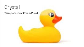  Presentation with rubber duck - Beautiful PPT theme featuring yellow-rubber-duck-isolated backdrop and a white colored foreground