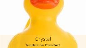  Presentation with rubber duck - Presentation enhanced with yellow rubber duck isolated on a white background background and a yellow colored foreground