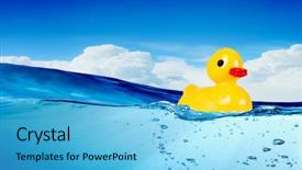  Presentation with rubber duck - Cool new PPT theme with yellow rubber duck toy floating in water backdrop and a light blue colored foreground