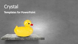  Presentation with rubber duck - Amazing slide set having yellow rubber duck toy on wooden board backdrop and a gray colored foreground