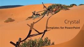  Presentation with sand dunes - Cool new presentation theme with yellow sand dunes and a homemade fence of sticks for the detention of snow backdrop and a coral colored foreground
