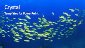  Presentation with blue and yellow music - Colorful PPT theme enhanced with yellow snapper fish blue ocean backdrop and a cobalt blue colored foreground