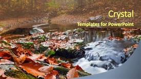  Presentation with softball - Beautiful presentation theme featuring yellow softball - autumn foliage backdrop and a tawny brown colored foreground