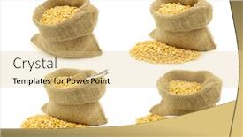  Presentation with peas - Colorful slide set enhanced with yellow-split-peas backdrop and a lemonade colored foreground