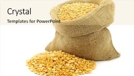  Presentation with peas - Presentation theme enhanced with yellow split peas in a burlap bag on a white background background and a yellow colored foreground
