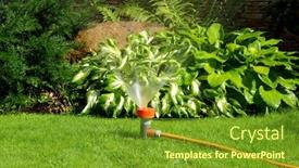  Presentation with garden - Presentation theme having yellow-sprinkler-watering-the-backyard background and a tawny brown colored foreground