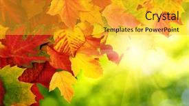  Presentation with fall leaves - PPT theme consisting of yellow sun - fall autumn leaves background background and a  colored foreground