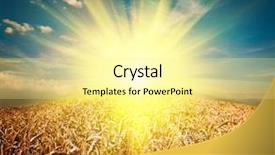  Presentation with meadow - PPT theme featuring yellow sun - field of grass meadow wheat background and a blonde colored foreground