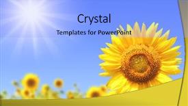  Presentation with bright yellow - PPT theme consisting of smiling woman opening the doors of wardrobe dressed in red underwear background and a coral colored foreground