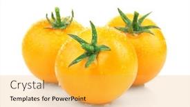  Presentation with yellow - Audience pleasing slides consisting of yellow-tomatoes-on-white-background backdrop and a yellow colored foreground