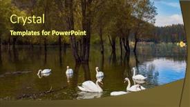  Presentation with lake - PPT layouts enhanced with yellow-trees-are-reflected background and a tawny brown colored foreground