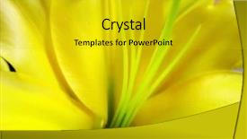  Presentation with greenhouse - Presentation with yellow tropical flower from greenhouse background and a  colored foreground