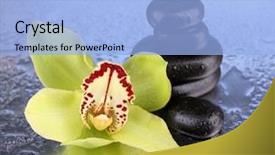  Presentation with bright yellow - Slide set consisting of delicious pasta fusilli with bolognese tomato beef sauce and parmesan on the table in the street cafe background man in a blue t-shirt background and a coral colored foreground.