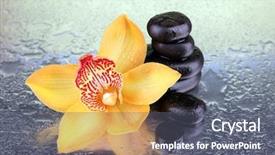  Presentation with bright yellow - Theme having yellow tropical orchid flower and spa stones on bright background background and a gray colored foreground